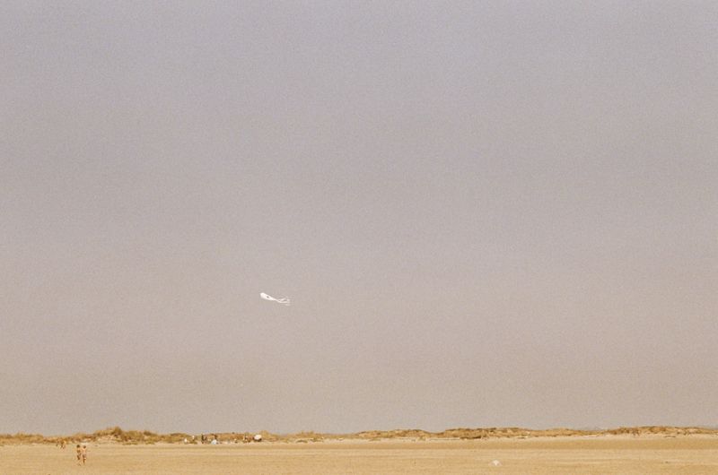 © Jean-Marie Reynier - "Camargue, 2025" Jean-Marie Reynier