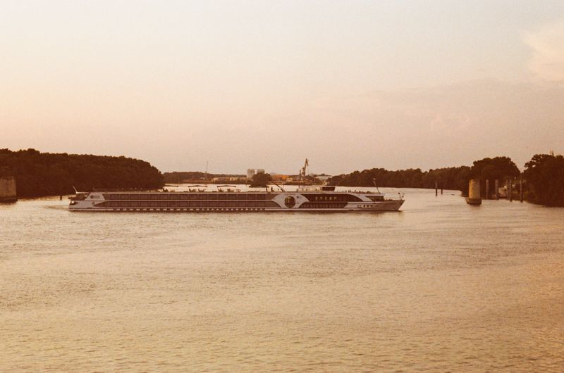 © Jean-Marie Reynier - "Camargue, 2025" Jean-Marie Reynier