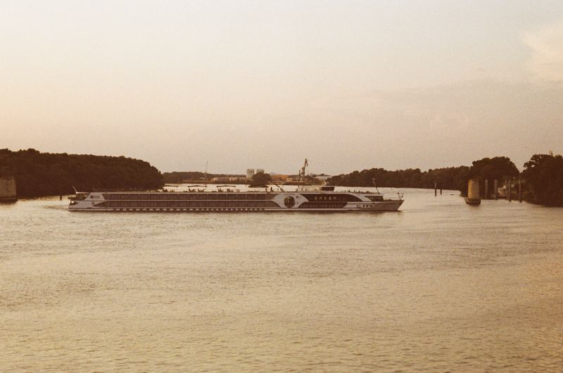 © Jean-Marie Reynier - "Camargue, 2025" Jean-Marie Reynier