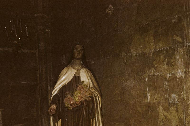 © Jean-Marie Reynier - "Camargue, 2025" Jean-Marie Reynier