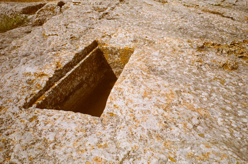 © Jean-Marie Reynier - "Camargue, 2025" Jean-Marie Reynier