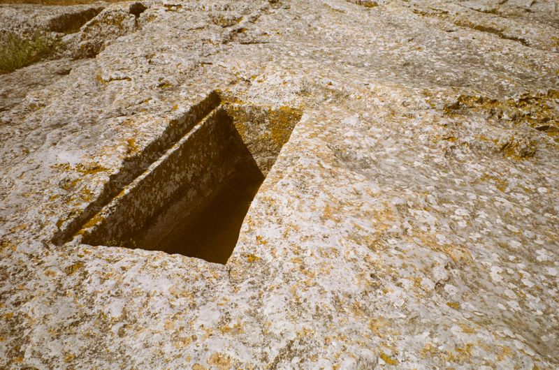 © Jean-Marie Reynier - "Camargue, 2025" Jean-Marie Reynier