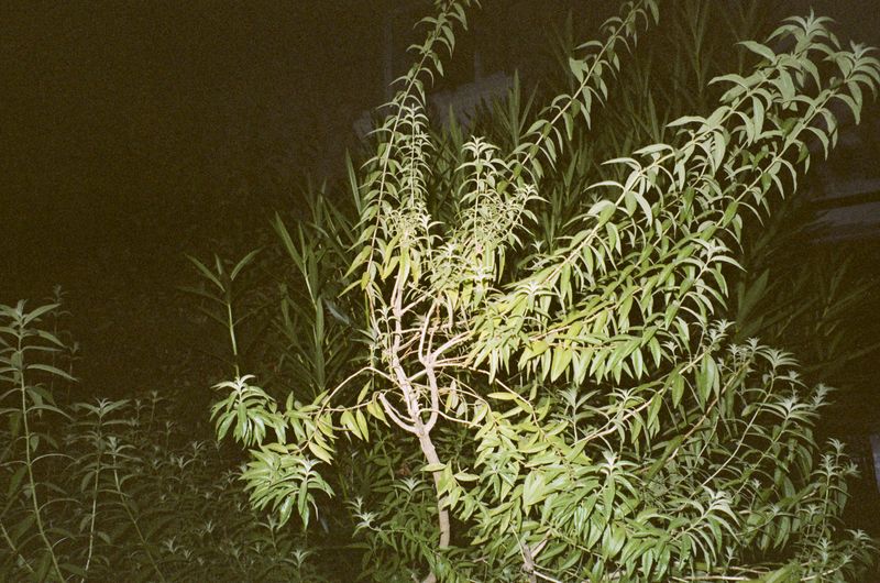 © Jean-Marie Reynier - "Camargue, 2025" Jean-Marie Reynier