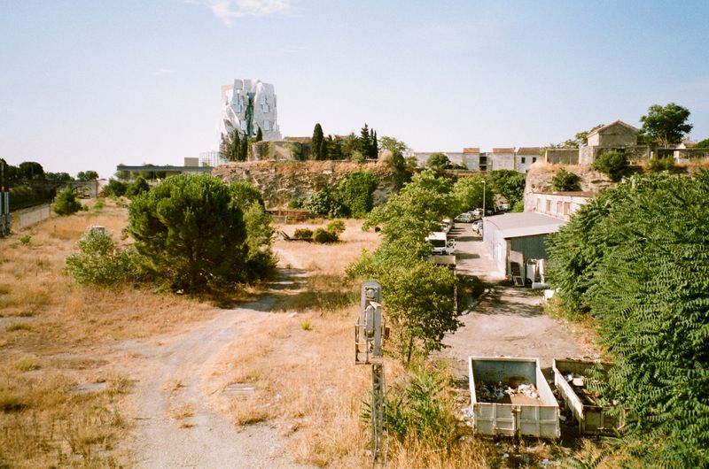 © Jean-Marie Reynier - "Camargue, 2025" Jean-Marie Reynier