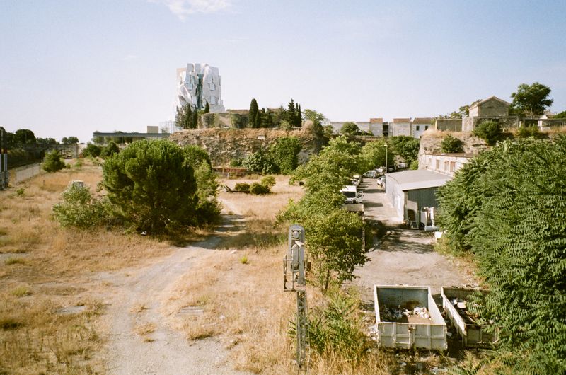 © Jean-Marie Reynier - "Camargue, 2025" Jean-Marie Reynier