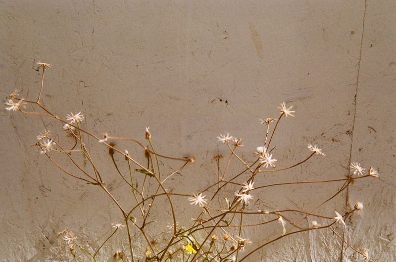 © Jean-Marie Reynier - "Camargue, 2025" Jean-Marie Reynier