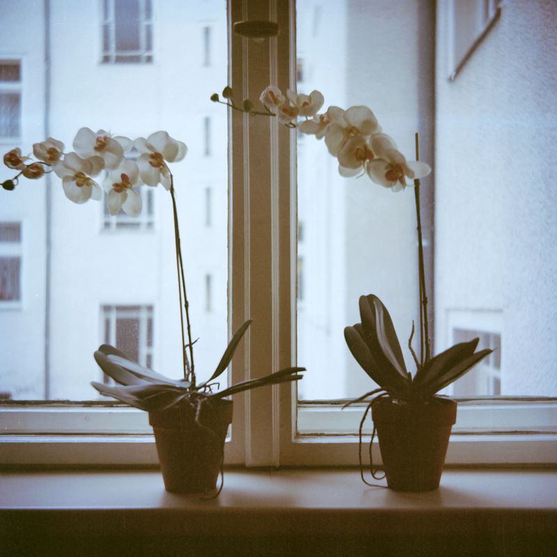 © Athanasia Papadopulou - Hotels-Athanasia Papadopoulou