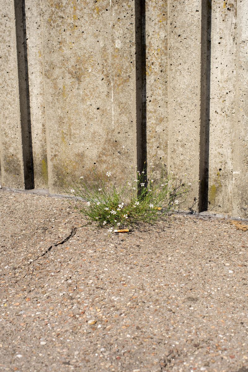 © Emilio Nasser - Image from the Shipwreck of Dreams photography project