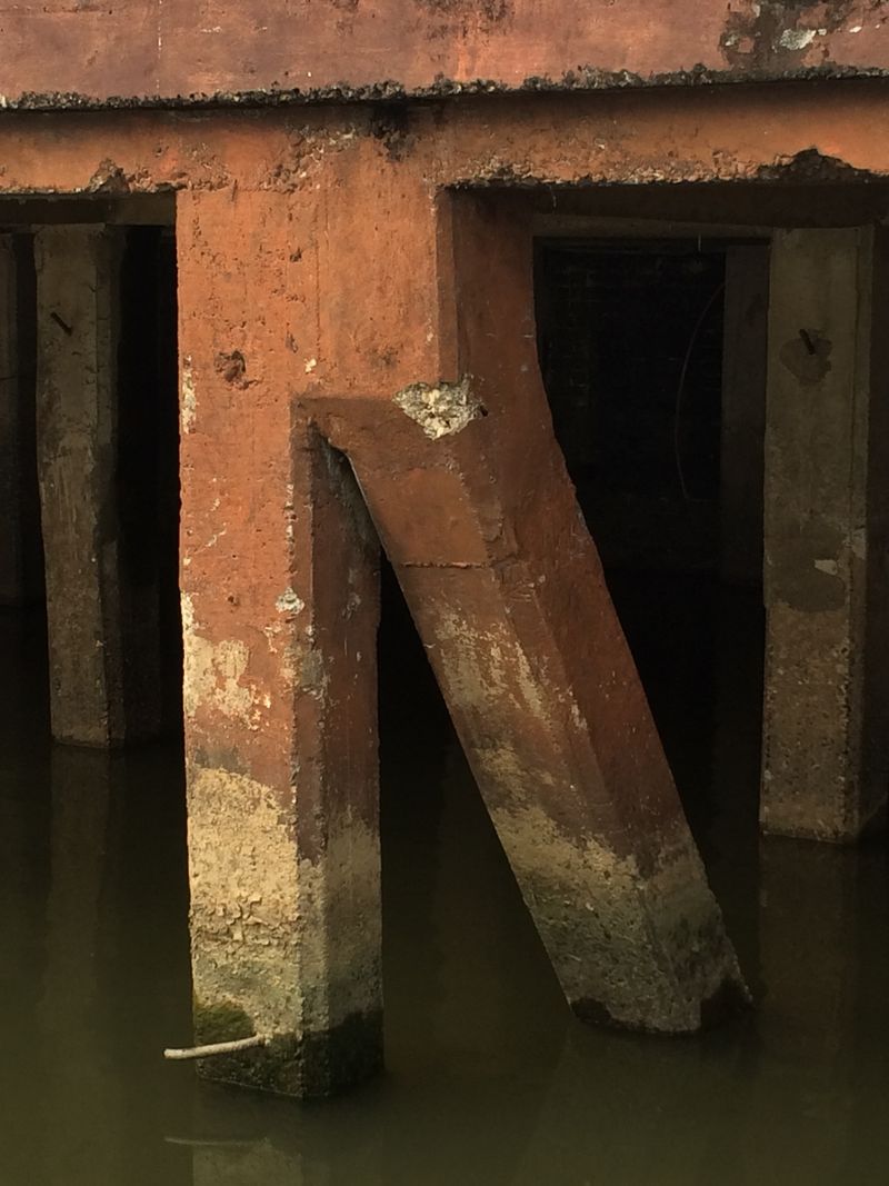 © Emilio Nasser - The legend of the Cornuda was born from the heart of the Papaloapan river.