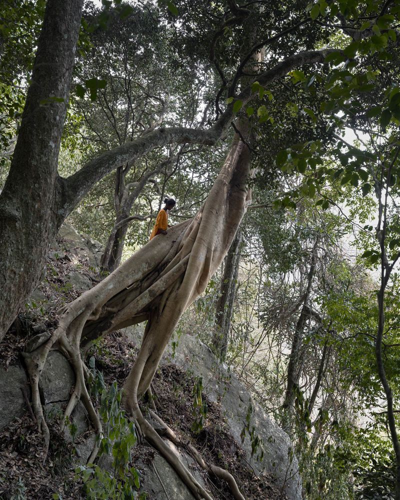 © Gayatri Ganju - Image from the The Pregnant Tree photography project