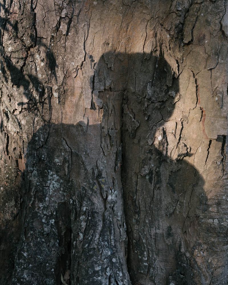 © Gayatri Ganju - Image from the The Pregnant Tree photography project