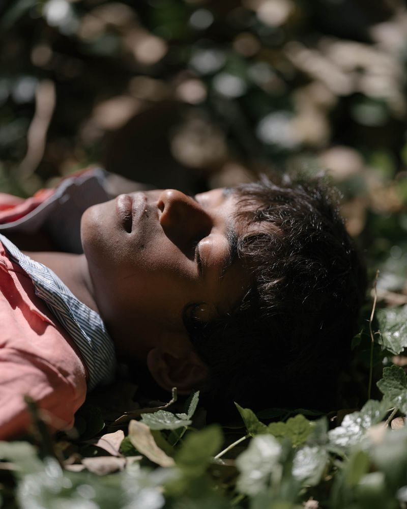 © Gayatri Ganju - Image from the The Pregnant Tree photography project