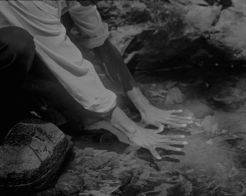 © Gayatri Ganju - Image from the The Pregnant Tree photography project