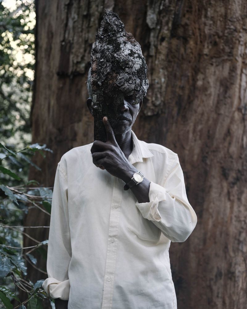 © Gayatri Ganju - Image from the The Pregnant Tree photography project