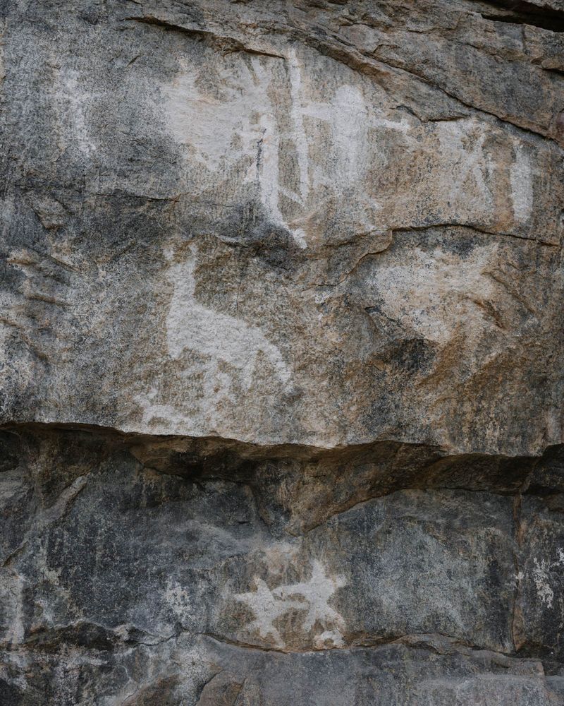 © Gayatri Ganju - Image from the The Pregnant Tree photography project