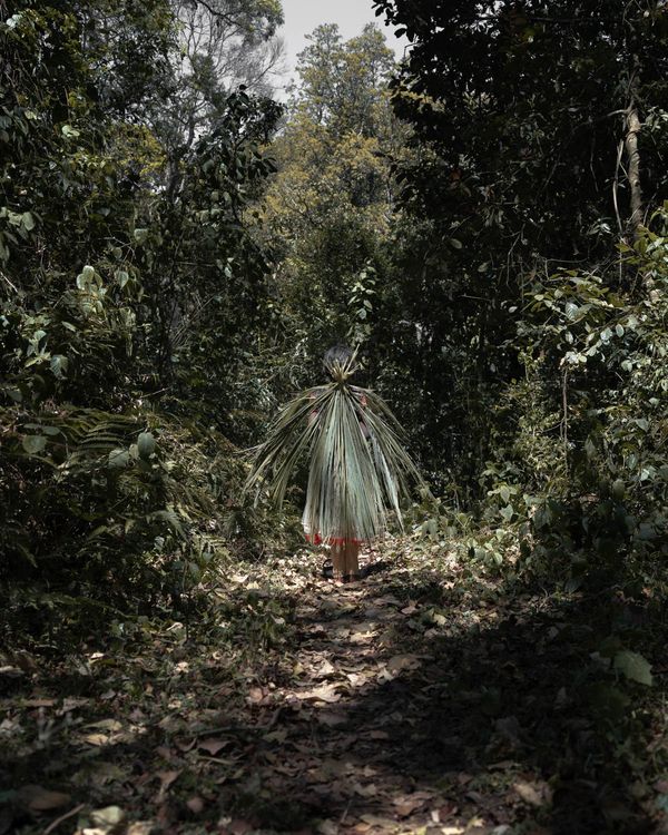 © Gayatri Ganju - Image from the The Pregnant Tree photography project