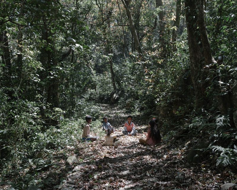 © Gayatri Ganju - Image from the The Pregnant Tree photography project