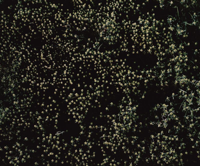 © Tj Proechel - Image from the ADAM photography project