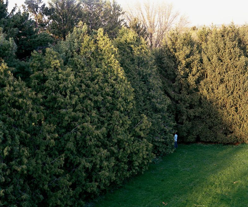 © Tj Proechel - Image from the ADAM photography project