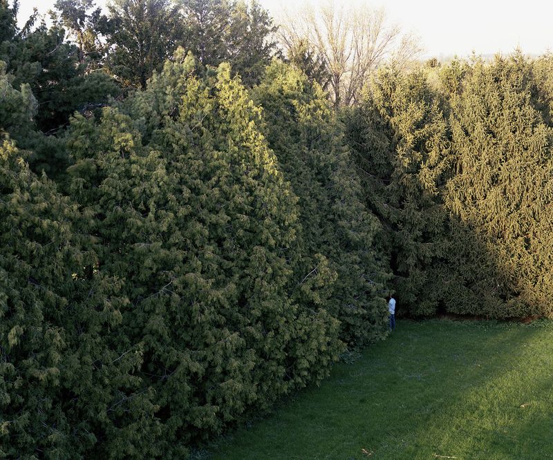 © Tj Proechel - Image from the ADAM photography project