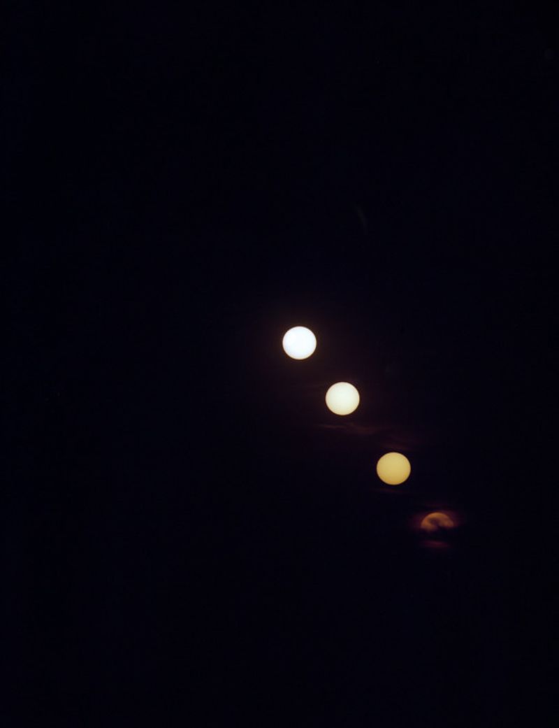 © Tj Proechel - Image from the ADAM photography project