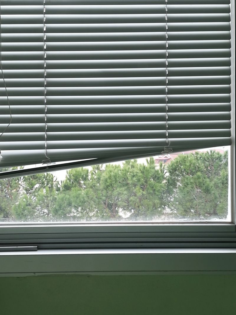 © Marta Viola - Image from the Sangue bianco photography project