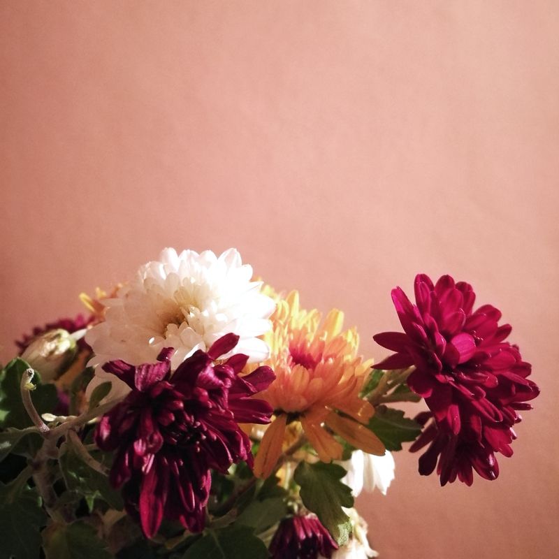 © Marta Viola - Image from the Sangue bianco photography project