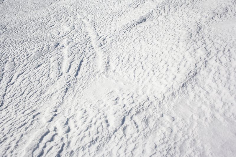 © Marta Viola - Image from the Cotton Candy photography project