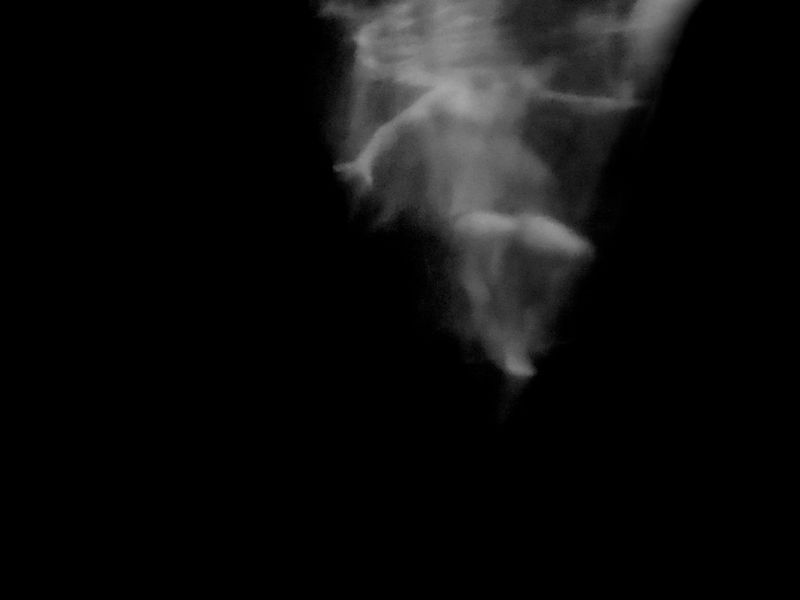 © DOMENICO CAMARDA - Image from the LIQUIDO: WATER DREAMS ON ITSELF. photography project