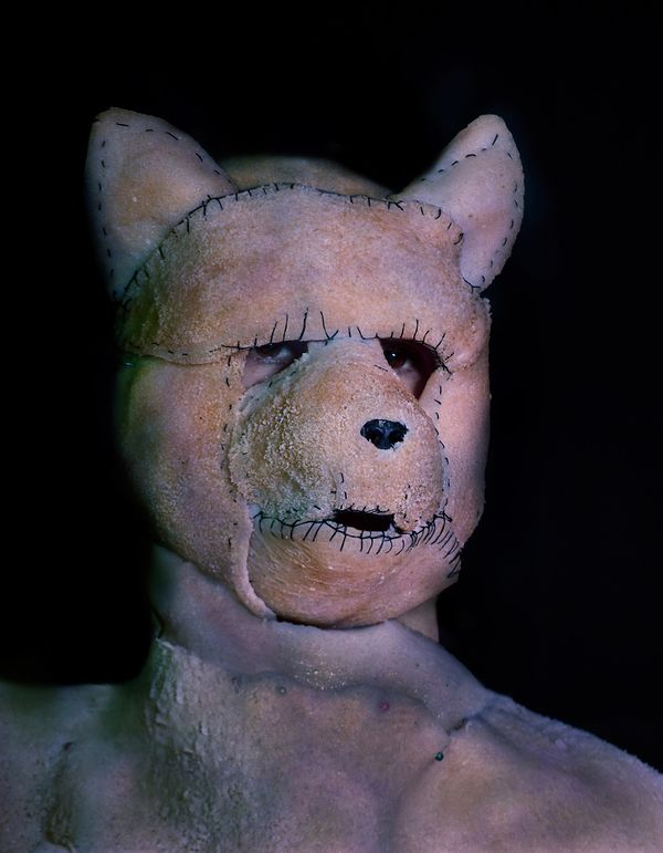 © Gabriela Rivera Lucero - Zorra, Bestiario