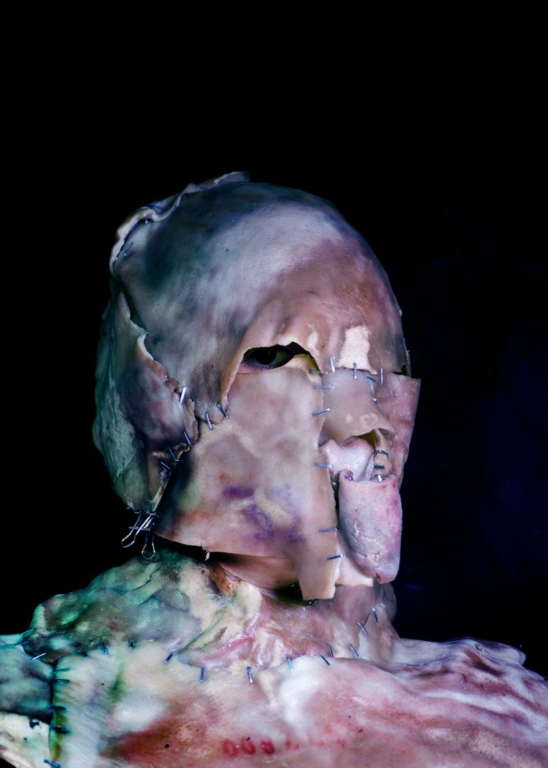 © Gabriela Rivera Lucero - Mosca Muerta II, Bestiario