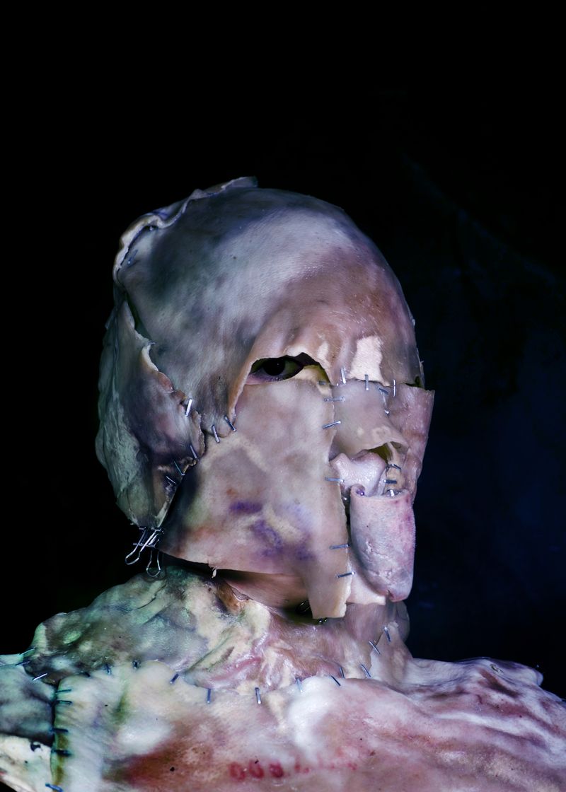 © Gabriela Rivera Lucero - Mosca Muerta II, Bestiario