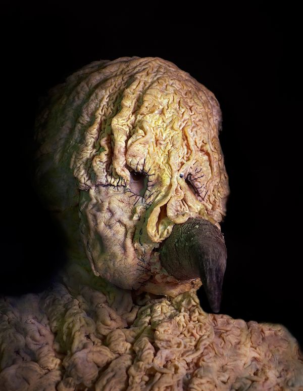 © Gabriela Rivera Lucero - Arpía, Bestiario