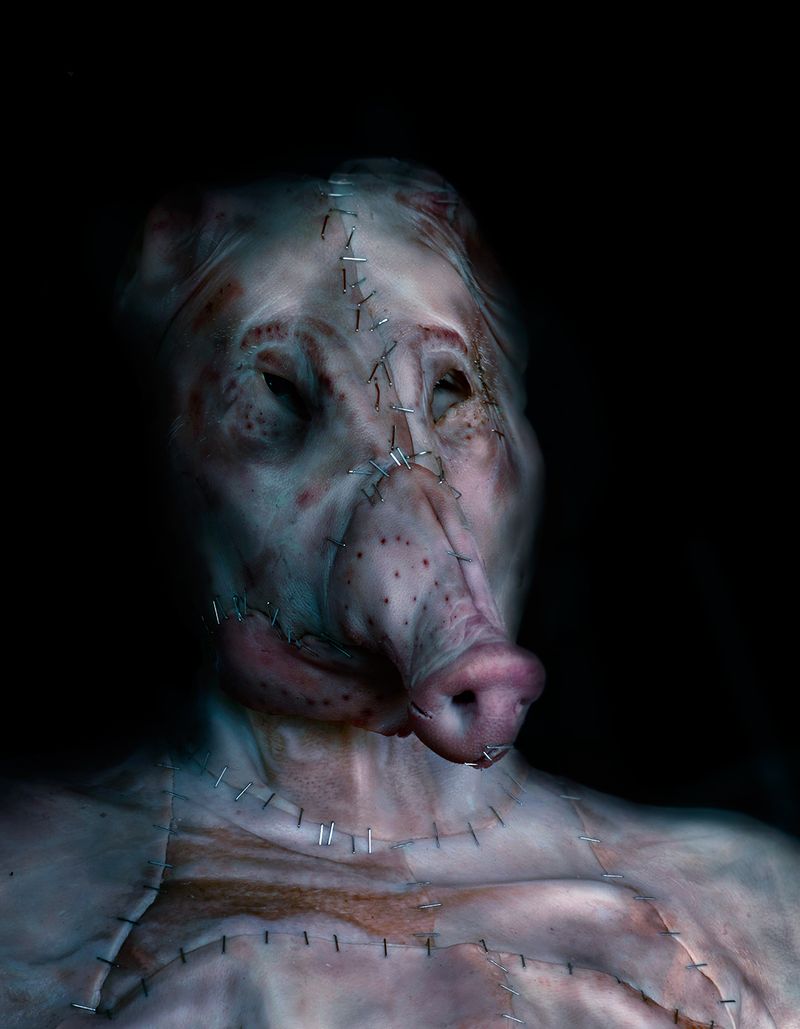 © Gabriela Rivera Lucero - Cerda, Bestiario