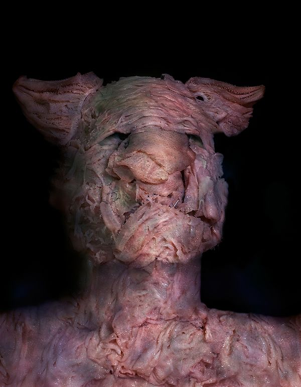 © Gabriela Rivera Lucero - Perra, Bestiario