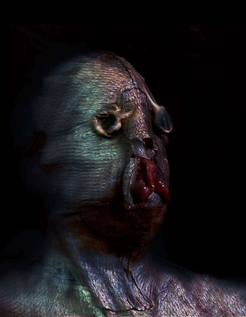 © Gabriela Rivera Lucero - Víbora, Bestiario