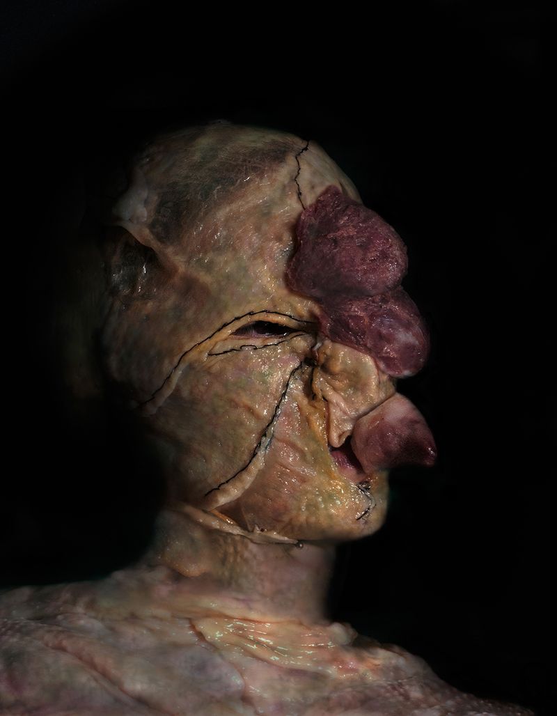 © Gabriela Rivera Lucero - Pájara, Bestiario