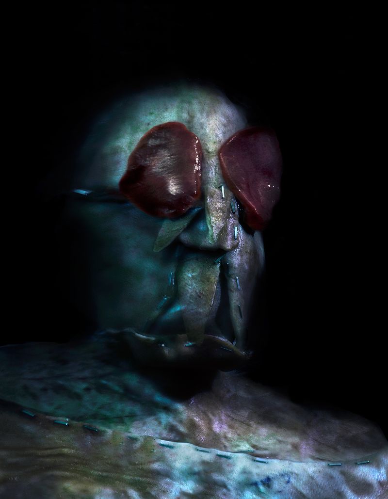 © Gabriela Rivera Lucero - Mosca Muerta, Bestiario