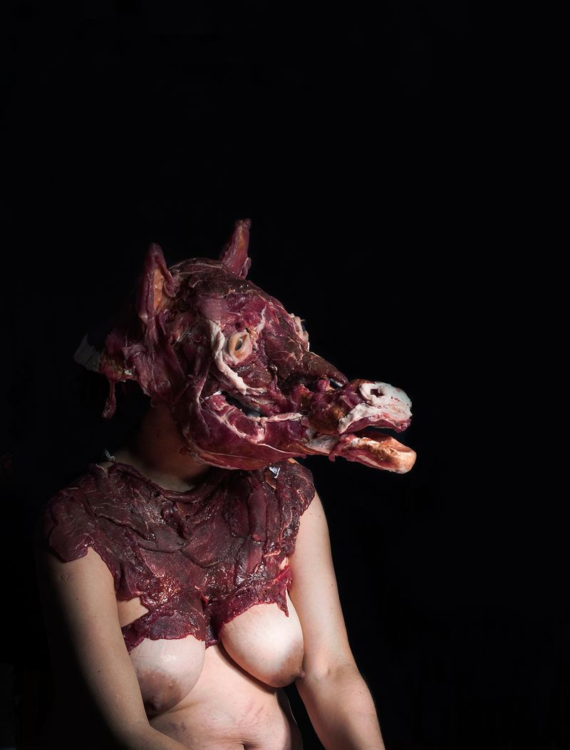 © Gabriela Rivera Lucero - Yegua II, Bestiario