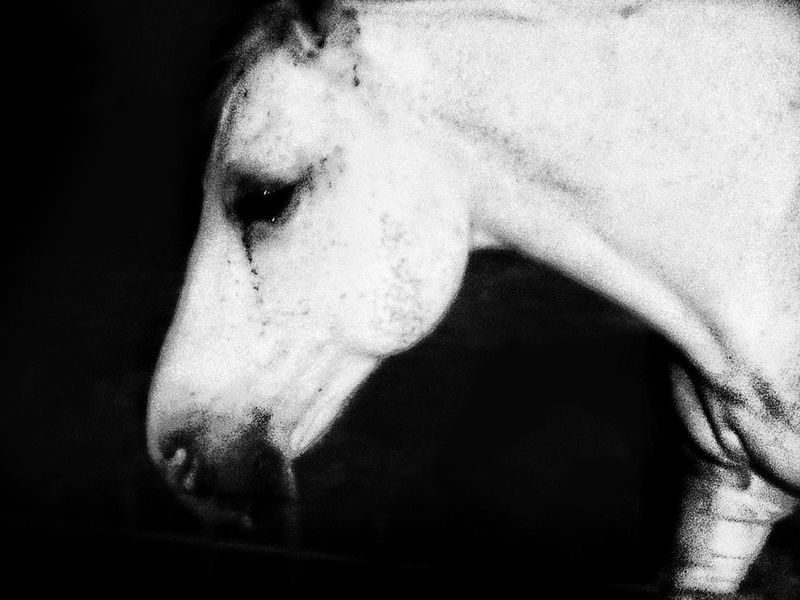 © Fatima Abreu Ferreira - Image from the How to disappear completely photography project