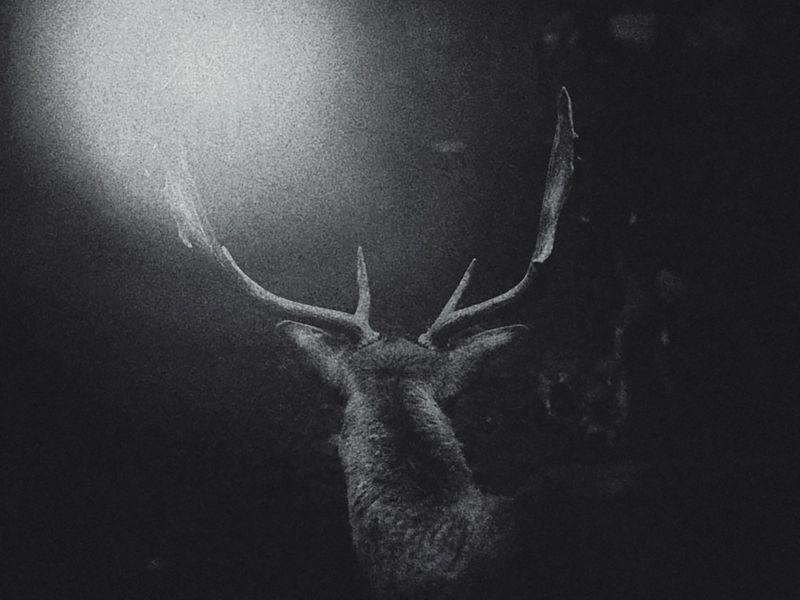 © Fatima Abreu Ferreira - Image from the The end of night photography project