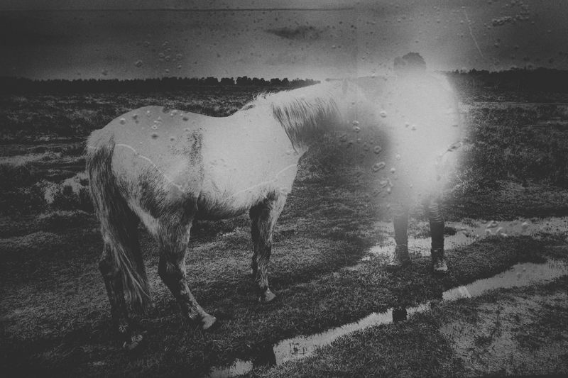 © Fatima Abreu Ferreira - Image from the The end of night photography project