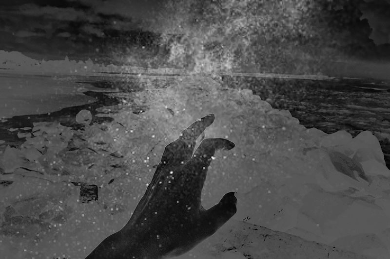 © Fatima Abreu Ferreira - Image from the The end of night photography project