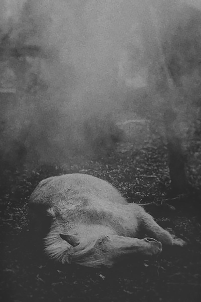 © Fatima Abreu Ferreira - Image from the The end of night photography project