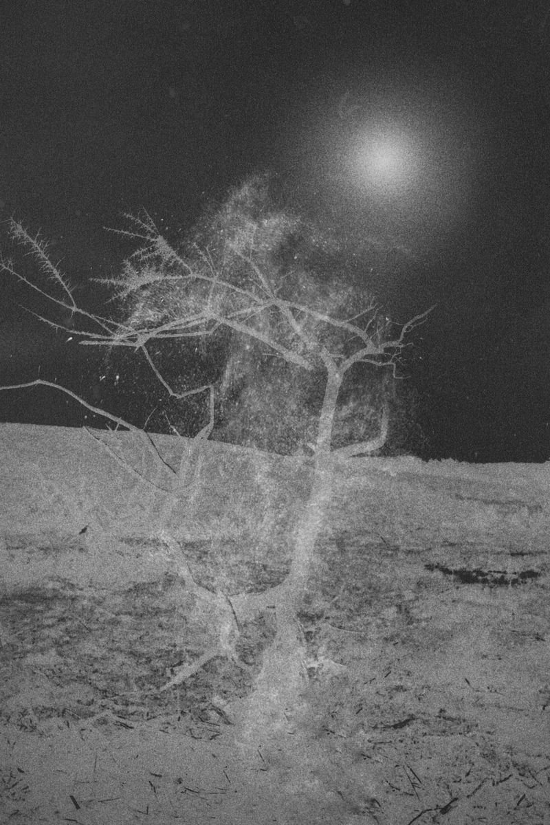 © Fatima Abreu Ferreira - Image from the The end of night photography project