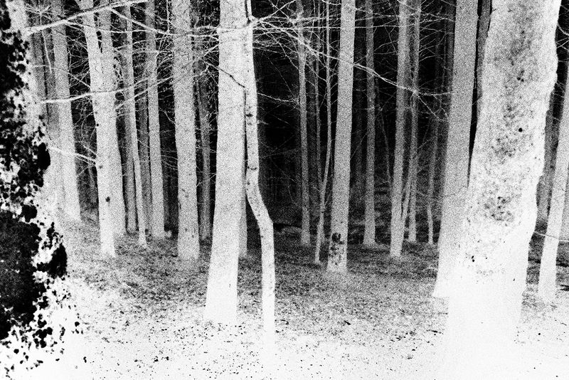 © Fatima Abreu Ferreira - Image from the How to disappear completely photography project