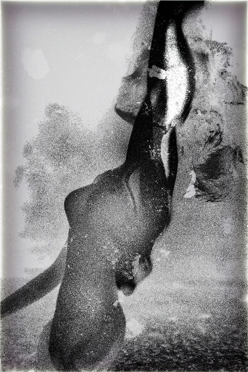 © Fatima Abreu Ferreira - Image from the How to disappear completely photography project