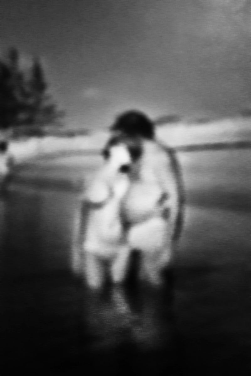 © Fatima Abreu Ferreira - Image from the How to disappear completely photography project