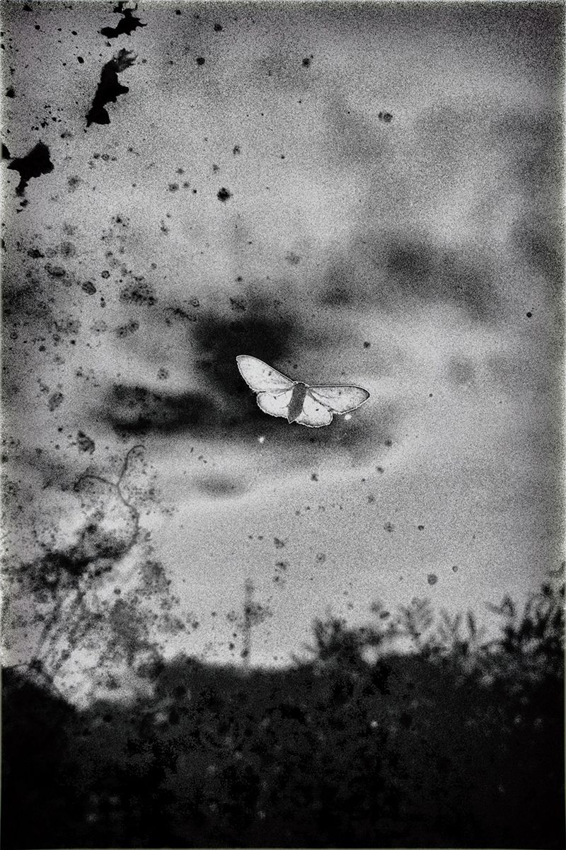 © Fatima Abreu Ferreira - Image from the How to disappear completely photography project