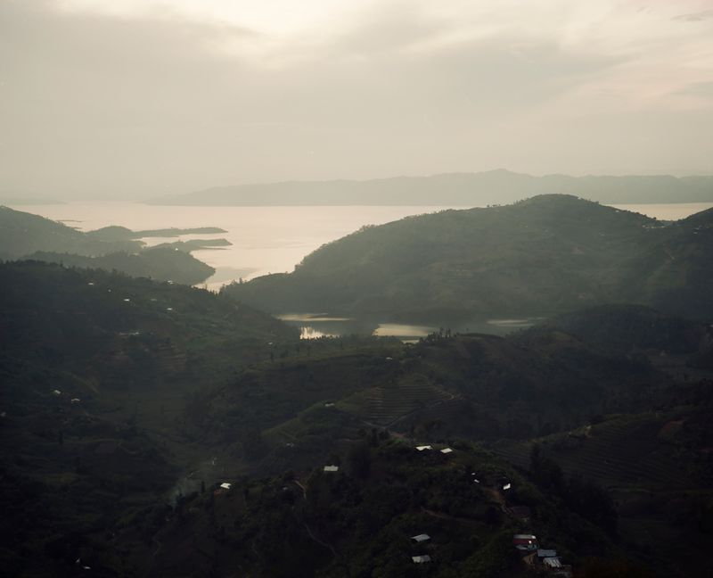 © Cécile Smetana - Home of Rose